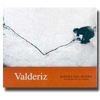 Bodegas y Vi�edos Valderiz - Ribera del Duero 2020
