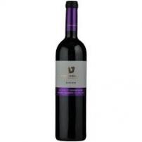 Teperberg Cab Sauv Vision NV
